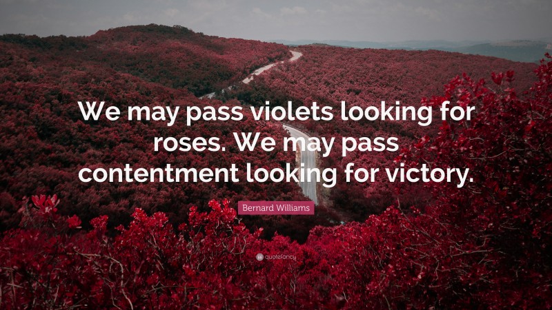 Bernard Williams Quote: “We may pass violets looking for roses. We may pass contentment looking for victory.”