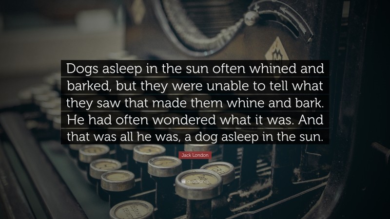 Jack London Quote: “Dogs asleep in the sun often whined and barked, but they were unable to tell what they saw that made them whine and bark. He had often wondered what it was. And that was all he was, a dog asleep in the sun.”