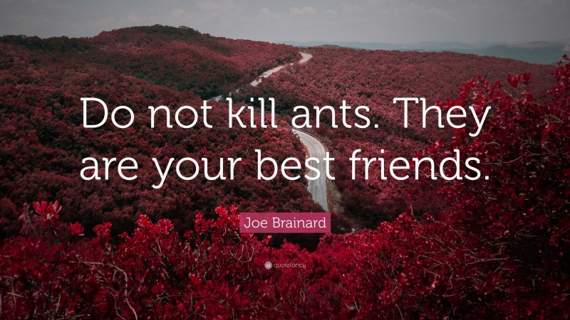 Joe Brainard Quote: “Do not kill ants. They are your best friends.”