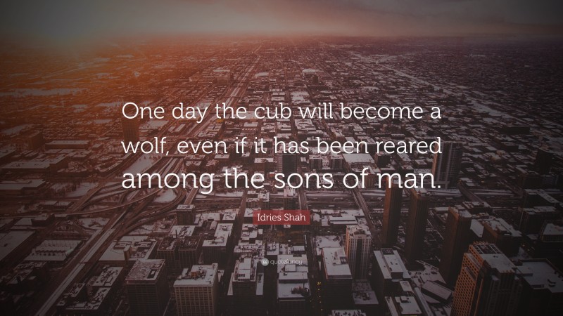 Idries Shah Quote: “One day the cub will become a wolf, even if it has been reared among the sons of man.”