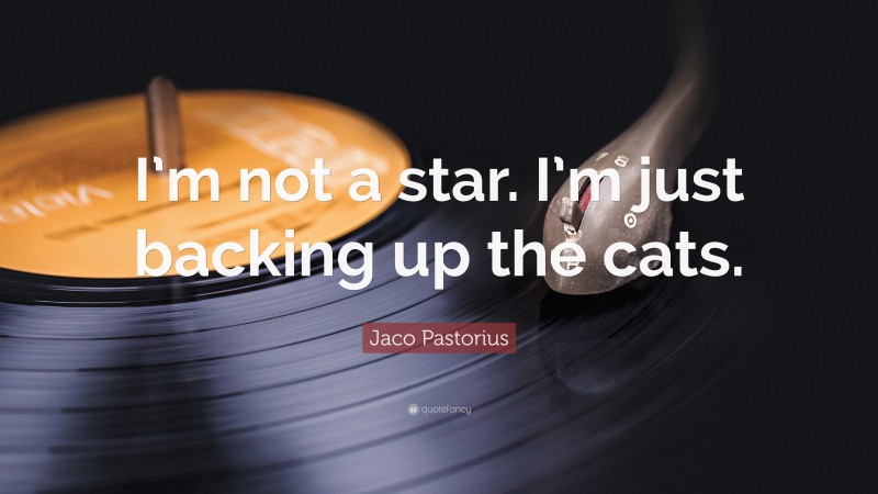 Jaco Pastorius Quote: “I’m not a star. I’m just backing up the cats.”