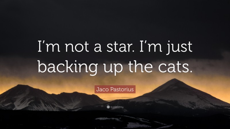 Jaco Pastorius Quote: “I’m not a star. I’m just backing up the cats.”