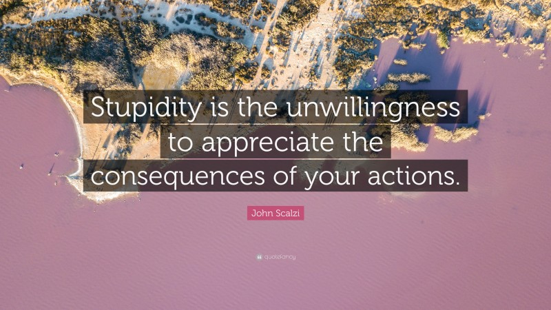 John Scalzi Quote: “Stupidity is the unwillingness to appreciate the consequences of your actions.”