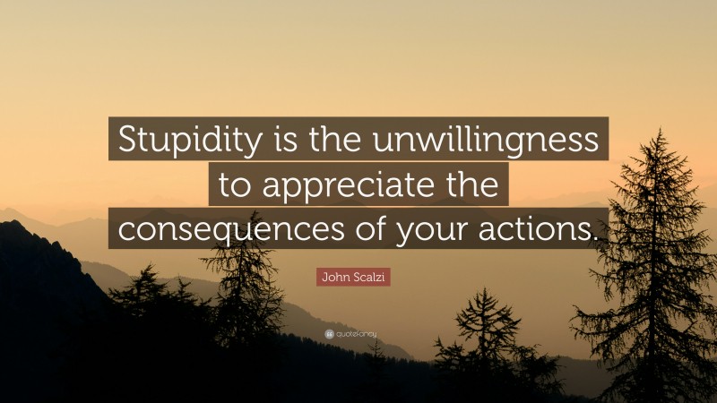 John Scalzi Quote: “Stupidity is the unwillingness to appreciate the consequences of your actions.”
