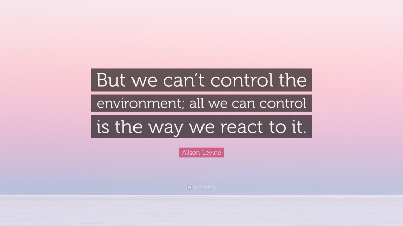 Alison Levine Quote: “But we can’t control the environment; all we can control is the way we react to it.”