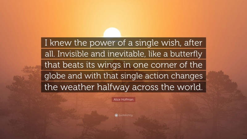 Alice Hoffman Quote: “I knew the power of a single wish, after all. Invisible and inevitable, like a butterfly that beats its wings in one corner of the globe and with that single action changes the weather halfway across the world.”