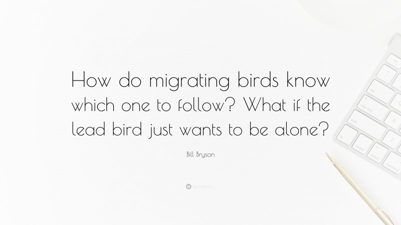 Bill Bryson Quote: “How do migrating birds know which one to follow? What if the lead bird just wants to be alone?”
