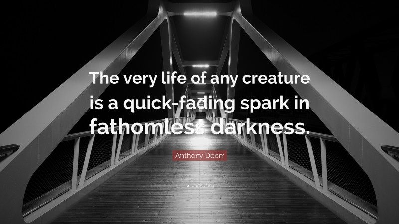 Anthony Doerr Quote: “The very life of any creature is a quick-fading spark in fathomless darkness.”