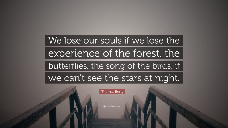 Thomas Berry Quote: “We lose our souls if we lose the experience of the forest, the butterflies, the song of the birds, if we can’t see the stars at night.”