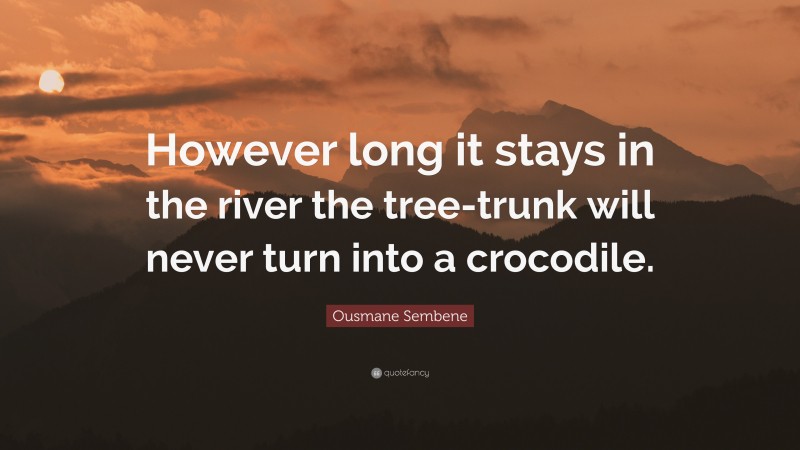 Ousmane Sembene Quote: “However long it stays in the river the tree-trunk will never turn into a crocodile.”