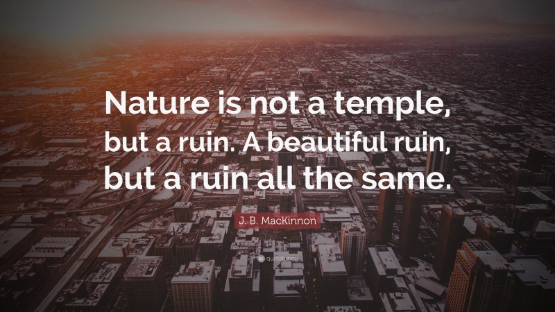 J. B. MacKinnon Quote: “Nature is not a temple, but a ruin. A beautiful ruin, but a ruin all the same.”