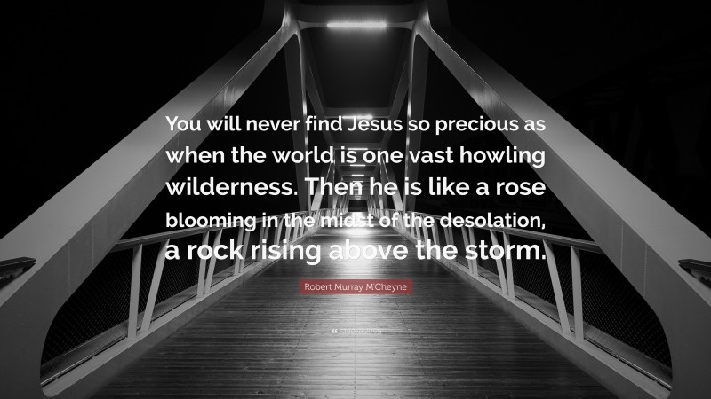 Robert Murray M'Cheyne Quote: “You will never find Jesus so precious as when the world is one vast howling wilderness. Then he is like a rose blooming in the midst of the desolation, a rock rising above the storm.”