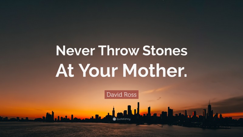 David Ross Quote: “Never Throw Stones At Your Mother.”