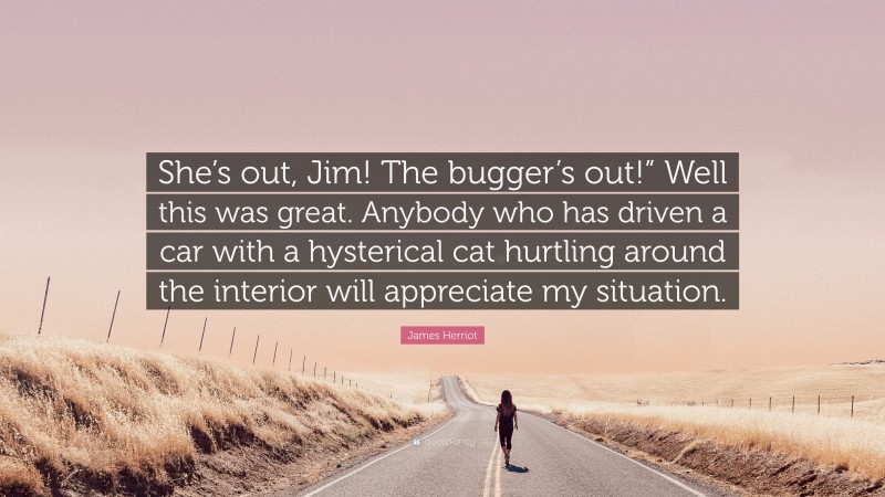 James Herriot Quote: “She’s out, Jim! The bugger’s out!” Well this was great. Anybody who has driven a car with a hysterical cat hurtling around the interior will appreciate my situation.”