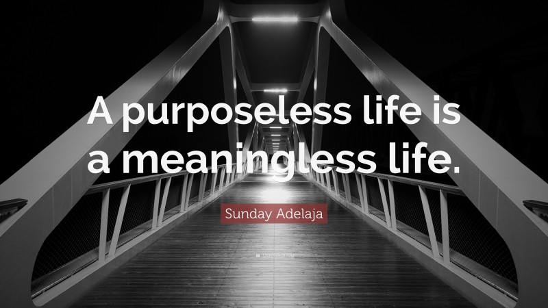 Sunday Adelaja Quote: “A purposeless life is a meaningless life.”