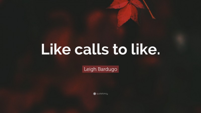 Leigh Bardugo Quote: “Like calls to like.”