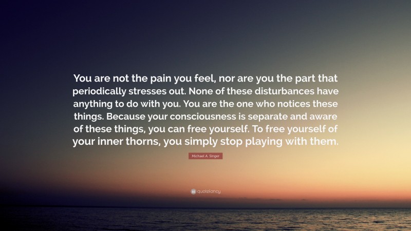 Michael A. Singer Quote: “You are not the pain you feel, nor are you the part that periodically stresses out. None of these disturbances have anything to do with you. You are the one who notices these things. Because your consciousness is separate and aware of these things, you can free yourself. To free yourself of your inner thorns, you simply stop playing with them.”