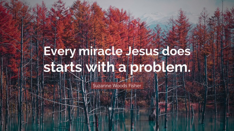 Suzanne Woods Fisher Quote: “Every miracle Jesus does starts with a problem.”