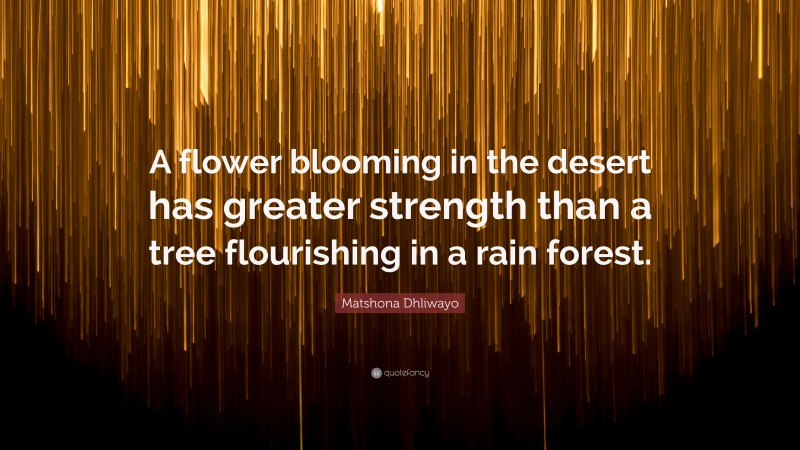 Matshona Dhliwayo Quote: “A flower blooming in the desert has greater strength than a tree flourishing in a rain forest.”