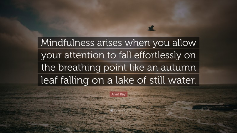 Amit Ray Quote: “Mindfulness arises when you allow your attention to fall effortlessly on the breathing point like an autumn leaf falling on a lake of still water.”