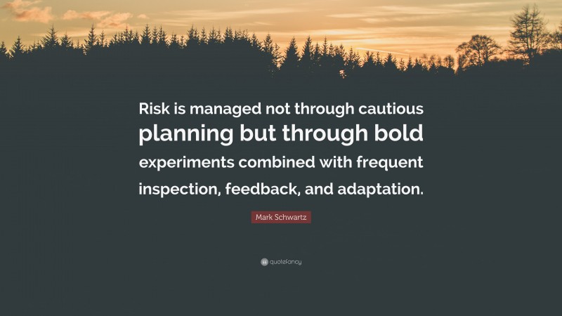 Mark Schwartz Quote: “Risk is managed not through cautious planning but through bold experiments combined with frequent inspection, feedback, and adaptation.”