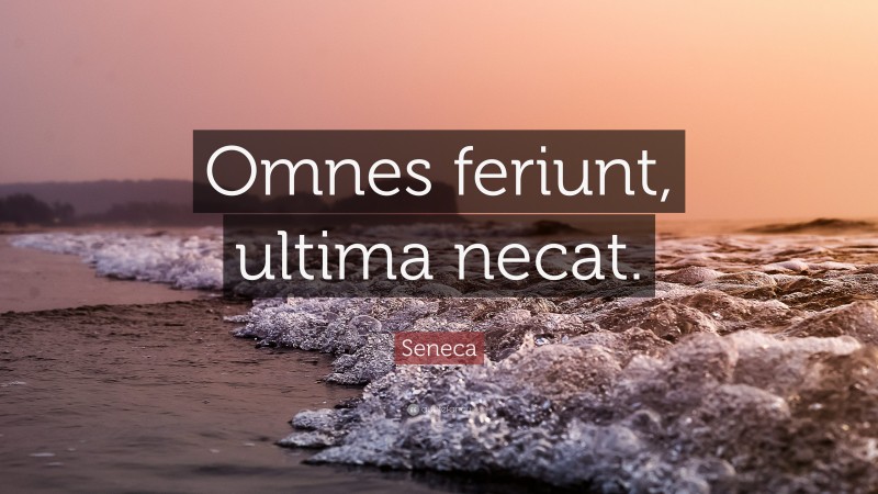 Seneca Quote: “Omnes feriunt, ultima necat.”