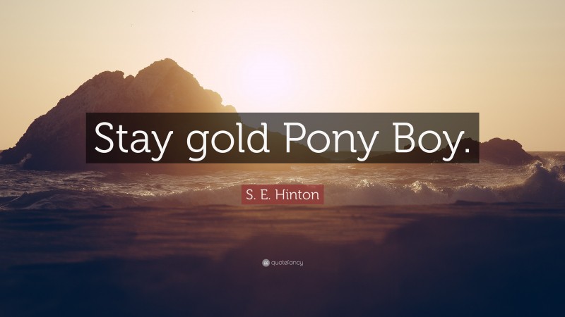 S. E. Hinton Quote: “Stay gold Pony Boy.”