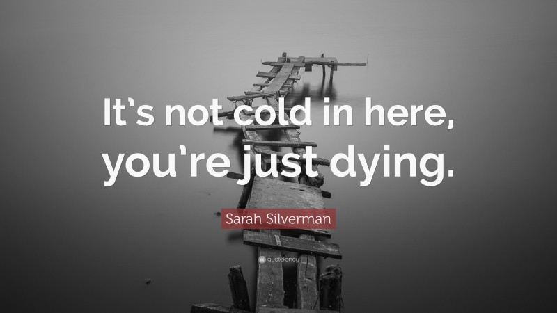 Sarah Silverman Quote: “It’s not cold in here, you’re just dying.”