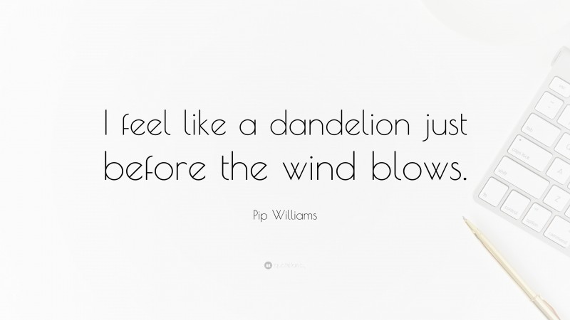 Pip Williams Quote: “I feel like a dandelion just before the wind blows.”