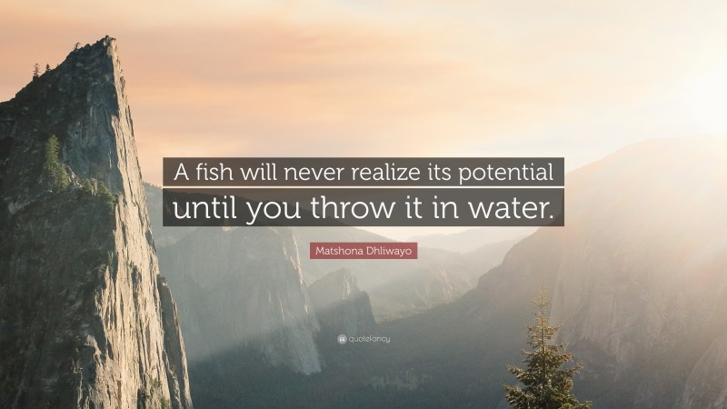 Matshona Dhliwayo Quote: “A fish will never realize its potential until you throw it in water.”