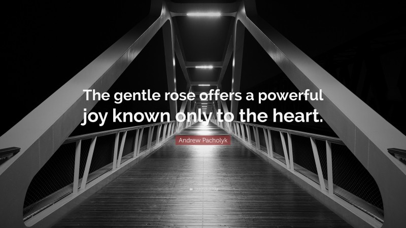 Andrew Pacholyk Quote: “The gentle rose offers a powerful joy known only to the heart.”