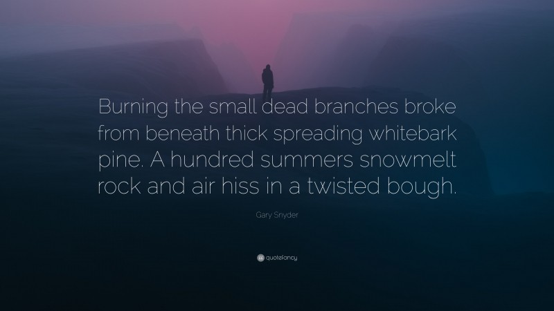 Gary Snyder Quote: “Burning the small dead branches broke from beneath thick spreading whitebark pine. A hundred summers snowmelt rock and air hiss in a twisted bough.”
