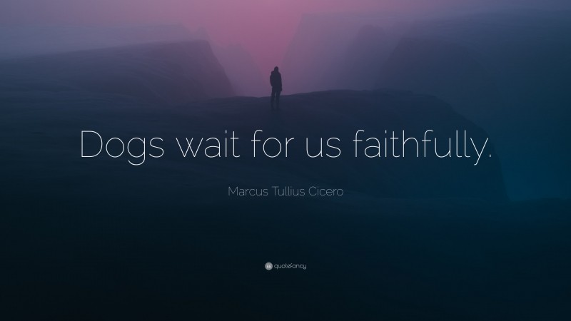 Marcus Tullius Cicero Quote: “Dogs wait for us faithfully.”