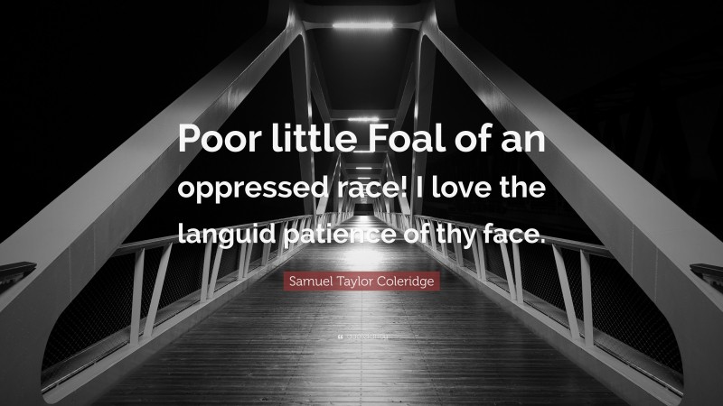 Samuel Taylor Coleridge Quote: “Poor little Foal of an oppressed race! I love the languid patience of thy face.”