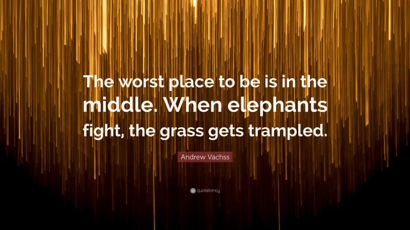 Andrew Vachss Quote: “The worst place to be is in the middle. When elephants fight, the grass gets trampled.”