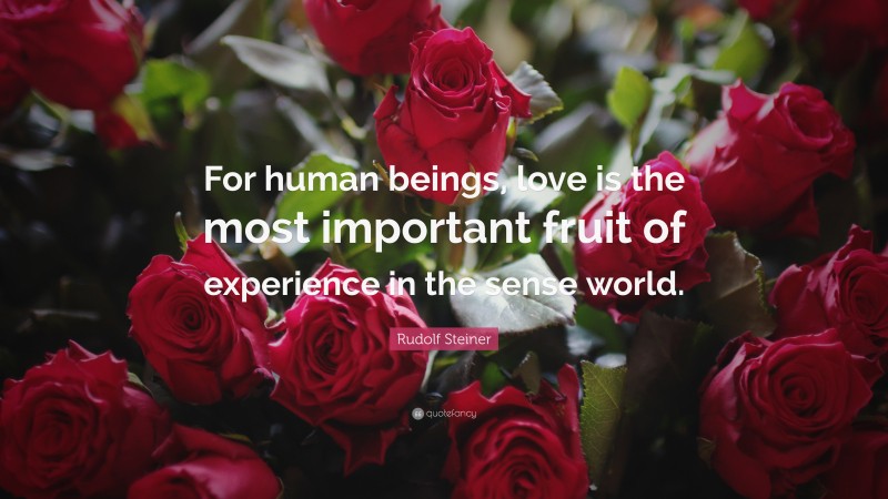 Rudolf Steiner Quote: “For human beings, love is the most important fruit of experience in the sense world.”