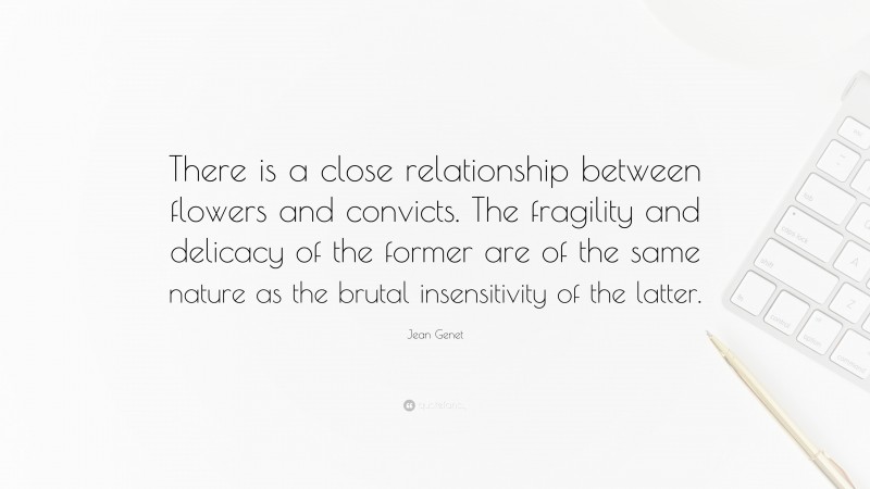 Jean Genet Quote: “There is a close relationship between flowers and convicts. The fragility and delicacy of the former are of the same nature as the brutal insensitivity of the latter.”
