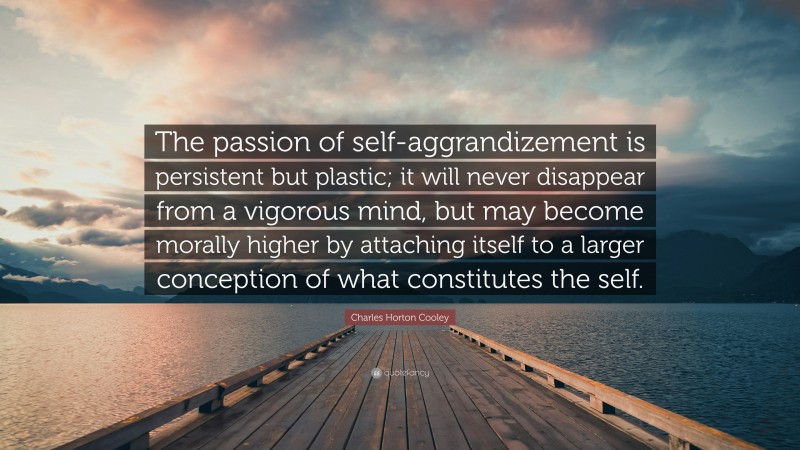 Charles Horton Cooley Quote: “The passion of self-aggrandizement is persistent but plastic; it will never disappear from a vigorous mind, but may become morally higher by attaching itself to a larger conception of what constitutes the self.”