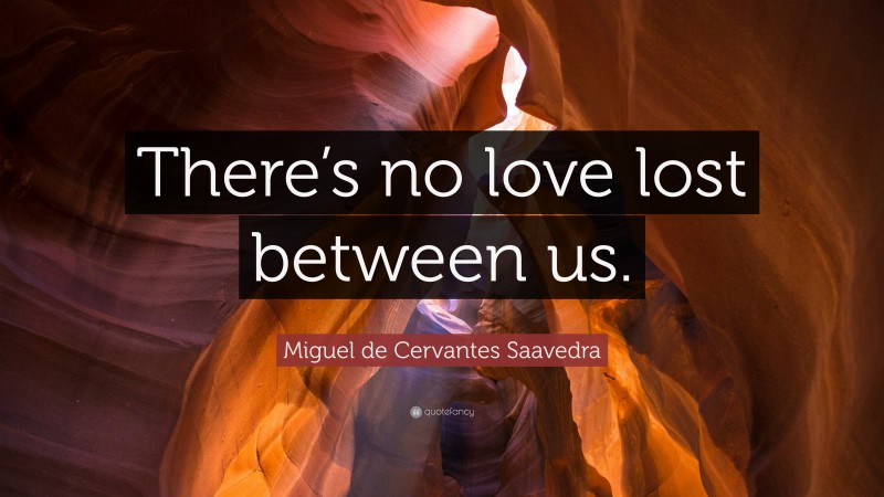 Miguel de Cervantes Saavedra Quote: “There’s no love lost between us.”