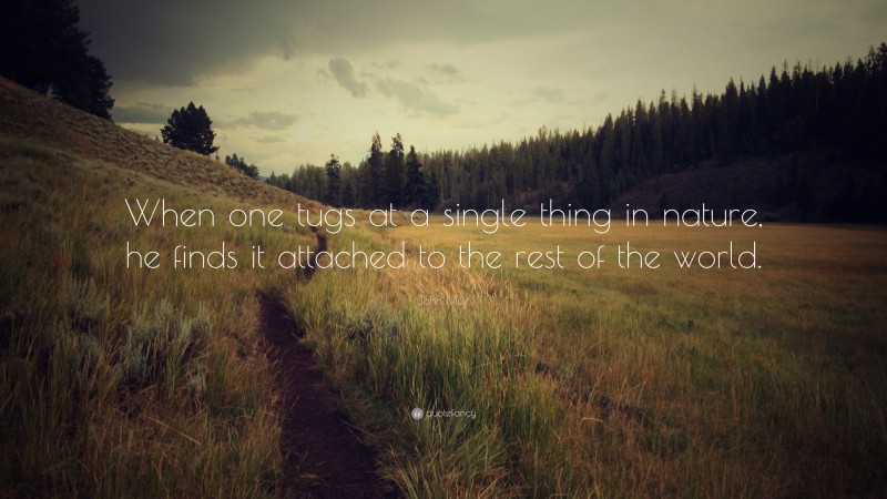 John Muir Quote: “When one tugs at a single thing in nature, he finds it attached to the rest of the world.”