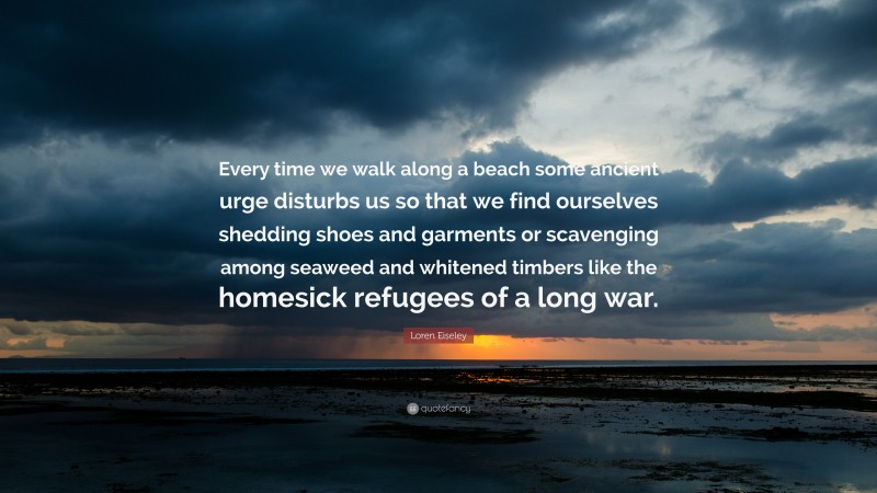 Loren Eiseley Quote: “Every time we walk along a beach some ancient urge disturbs us so that we find ourselves shedding shoes and garments or scavenging among seaweed and whitened timbers like the homesick refugees of a long war.”