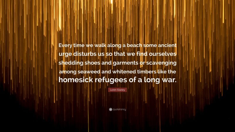 Loren Eiseley Quote: “Every time we walk along a beach some ancient urge disturbs us so that we find ourselves shedding shoes and garments or scavenging among seaweed and whitened timbers like the homesick refugees of a long war.”