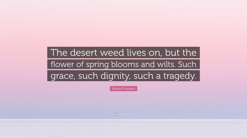 Khaled Hosseini Quote: “The desert weed lives on, but the flower of spring blooms and wilts. Such grace, such dignity, such a tragedy.”