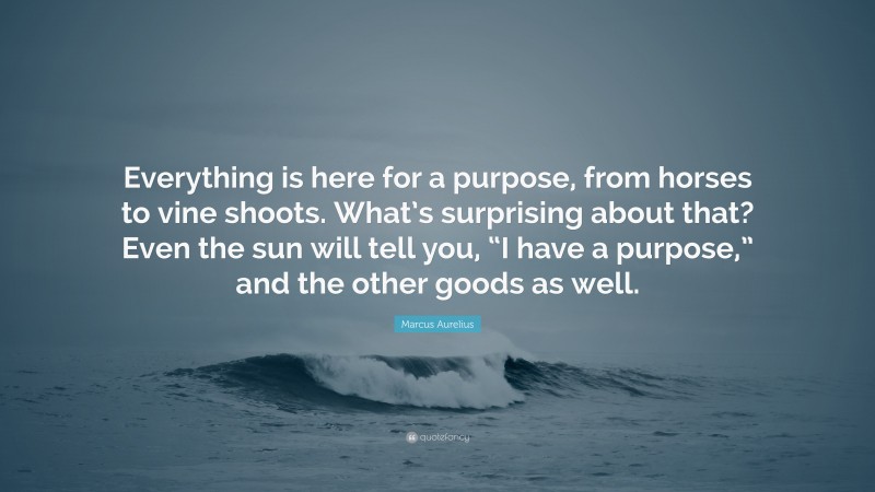 Marcus Aurelius Quote: “Everything is here for a purpose, from horses to vine shoots. What’s surprising about that? Even the sun will tell you, “I have a purpose,” and the other goods as well.”