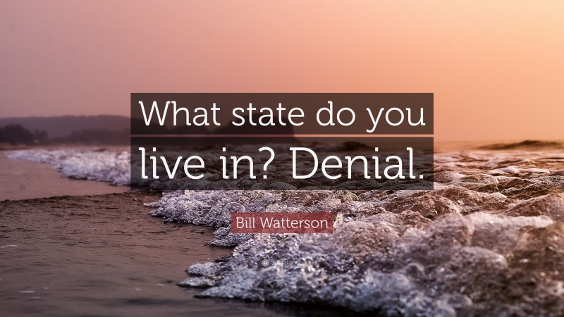 Bill Watterson Quote: “What state do you live in? Denial.”