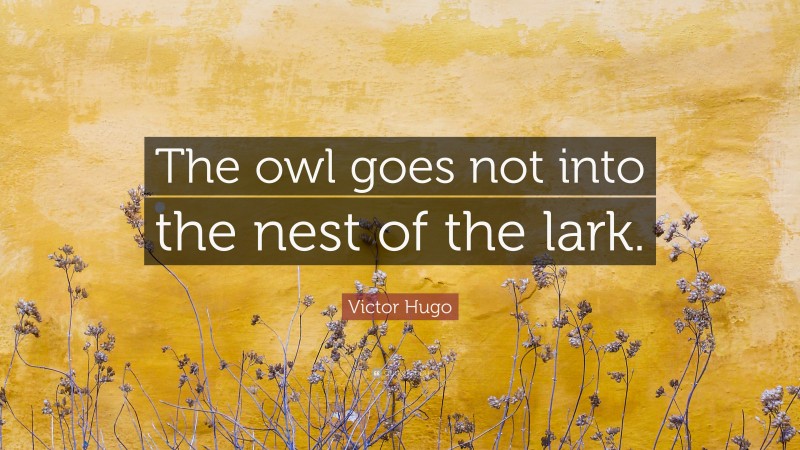 Victor Hugo Quote: “The owl goes not into the nest of the lark.”