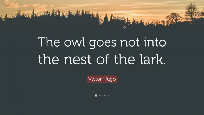 Victor Hugo Quote: “The owl goes not into the nest of the lark.”