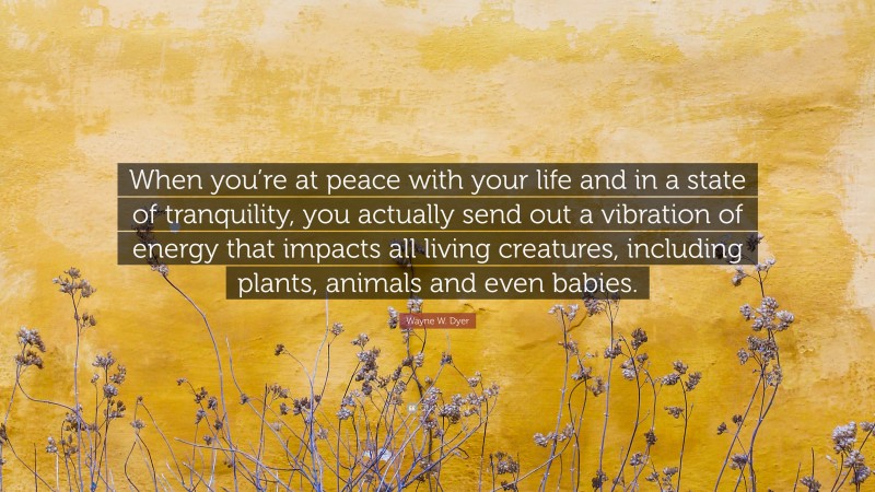 Wayne W. Dyer Quote: “When you’re at peace with your life and in a state of tranquility, you actually send out a vibration of energy that impacts all living creatures, including plants, animals and even babies.”