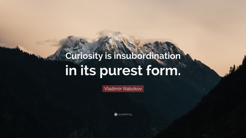 Vladimir Nabokov Quote: “Curiosity is insubordination in its purest form.”