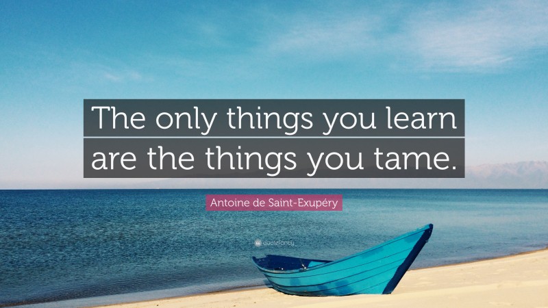Antoine de Saint-Exupéry Quote: “The only things you learn are the things you tame.”